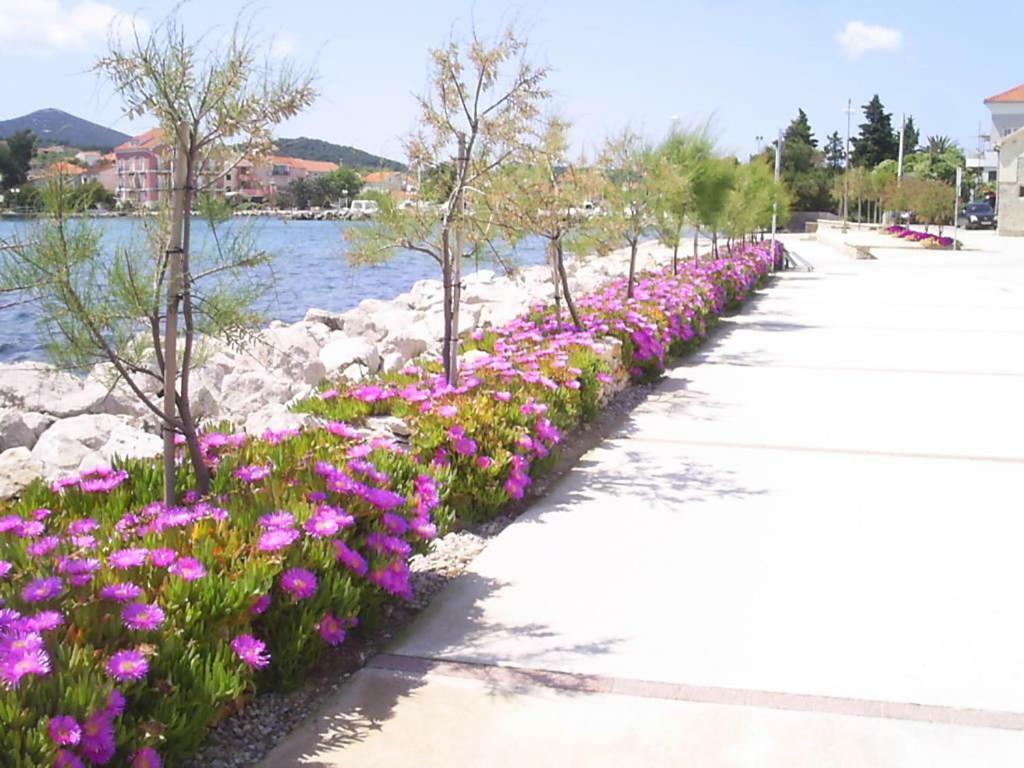 Beach Apartment M & B Poljana (Ugljan) Exterior foto