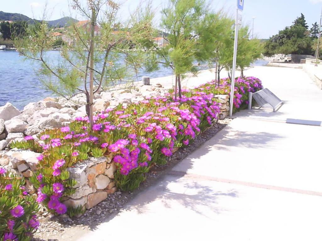 Beach Apartment M & B Poljana (Ugljan) Exterior foto